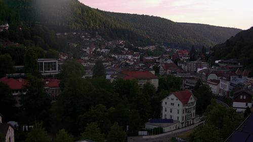 Webcam Bad Wildbad