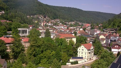 Webcam Bad Wildbad