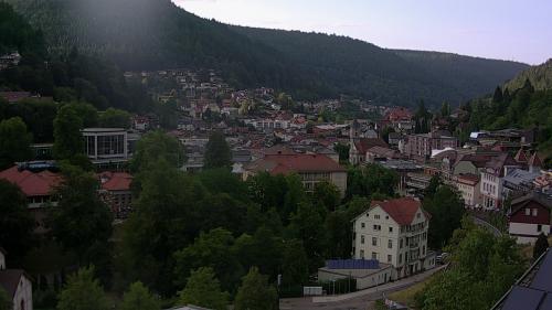 Webcam Bad Wildbad