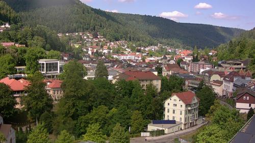 Webcam Bad Wildbad