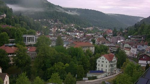 Webcam Bad Wildbad
