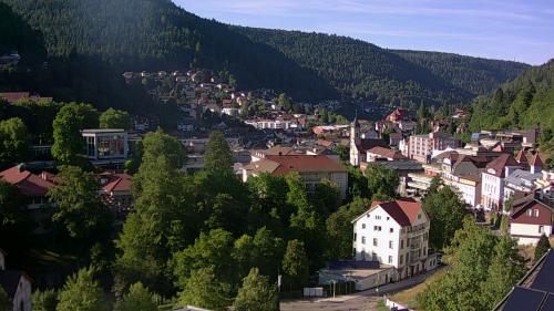 Webcam Bad Wildbad
