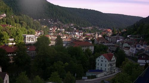 Webcam Bad Wildbad