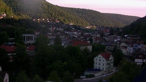 Webcam Bad Wildbad
