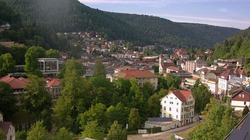 Webcam Bad Wildbad