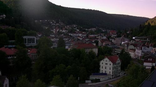 Webcam Bad Wildbad