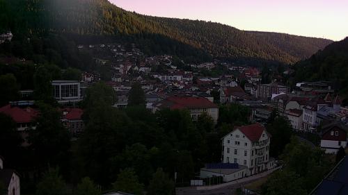 Webcam Bad Wildbad