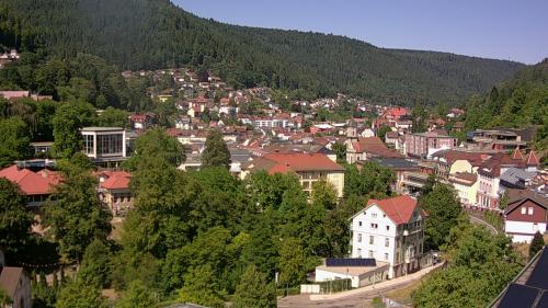 Webcam Bad Wildbad