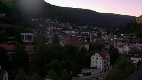 Webcam Bad Wildbad