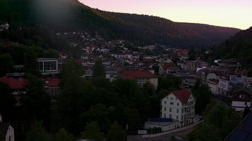 Webcam Bad Wildbad