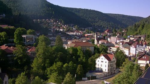 Webcam Bad Wildbad