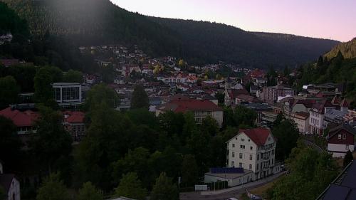 Webcam Bad Wildbad