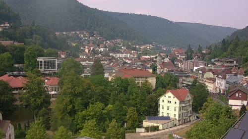 Webcam Bad Wildbad