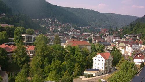 Webcam Bad Wildbad