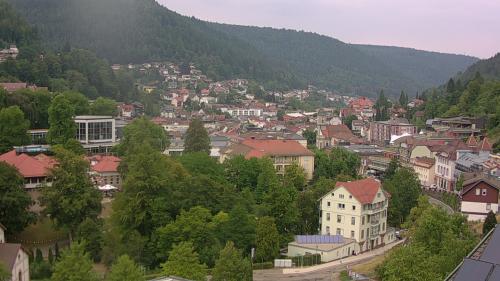 Webcam Bad Wildbad