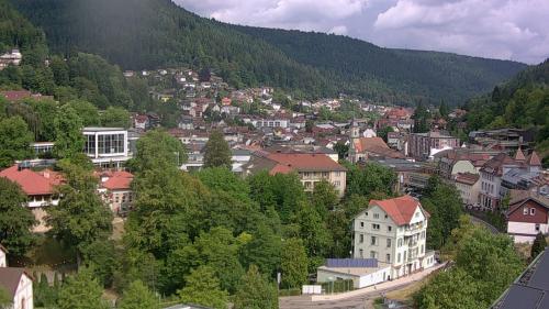 Webcam Bad Wildbad