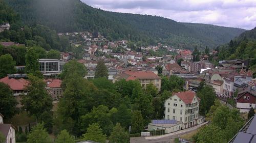 Webcam Bad Wildbad