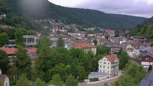 Webcam Bad Wildbad