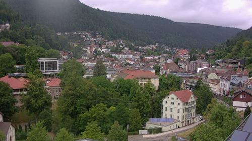 Webcam Bad Wildbad