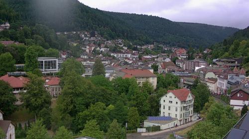 Webcam Bad Wildbad