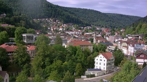 Webcam Bad Wildbad