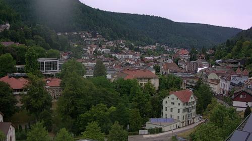 Webcam Bad Wildbad