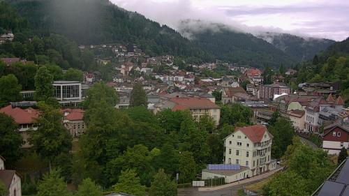 Webcam Bad Wildbad