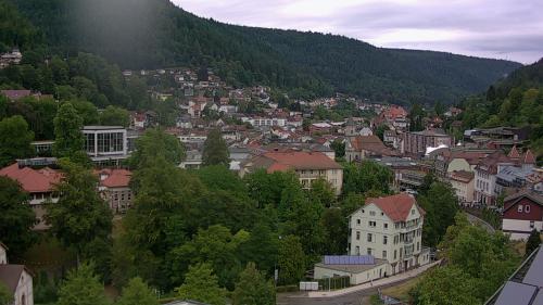 Webcam Bad Wildbad