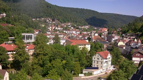 Webcam Bad Wildbad