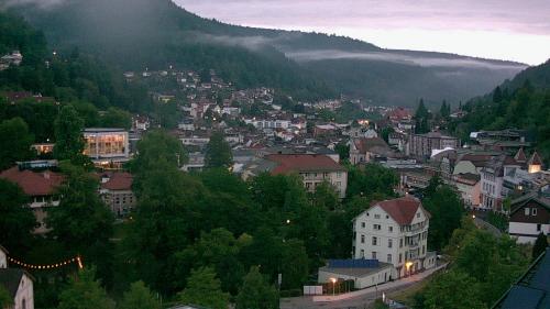 Webcam Bad Wildbad