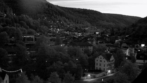 Webcam Bad Wildbad