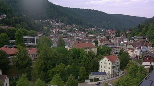 Webcam Bad Wildbad