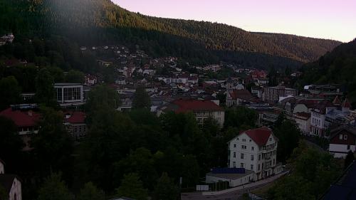 Webcam Bad Wildbad
