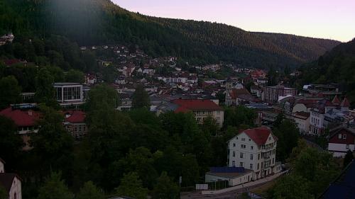Webcam Bad Wildbad