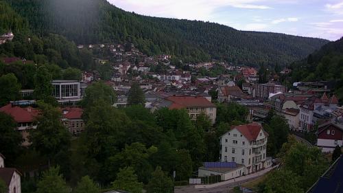 Webcam Bad Wildbad