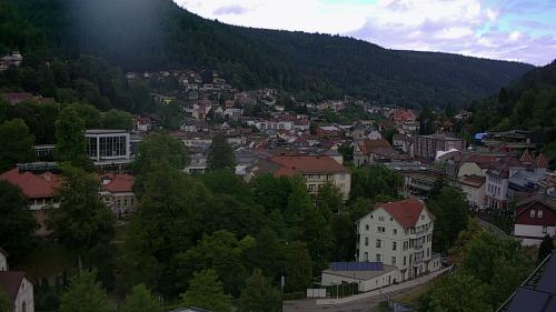 Webcam Bad Wildbad
