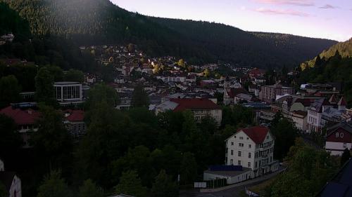 Webcam Bad Wildbad
