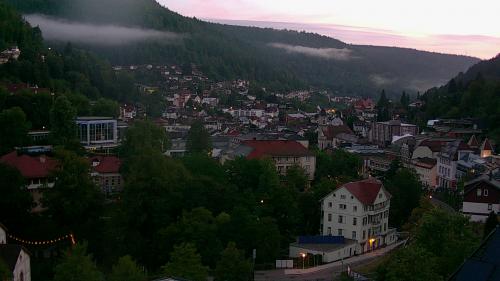 Webcam Bad Wildbad