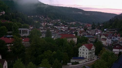 Webcam Bad Wildbad