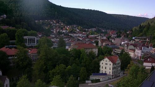 Webcam Bad Wildbad