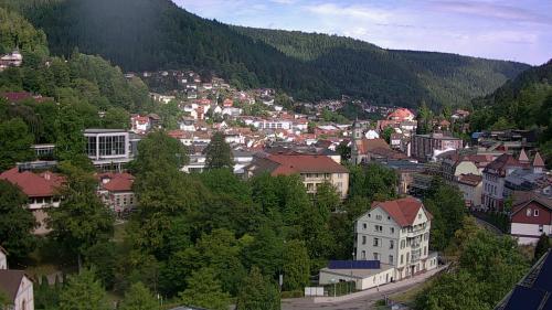 Webcam Bad Wildbad