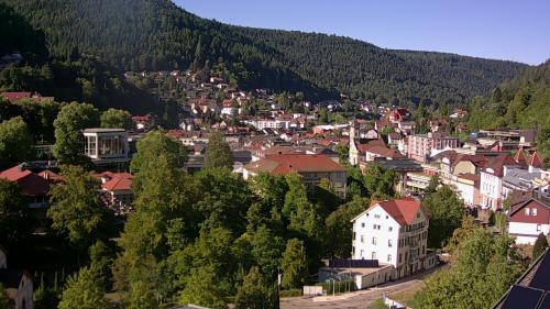 Webcam Bad Wildbad