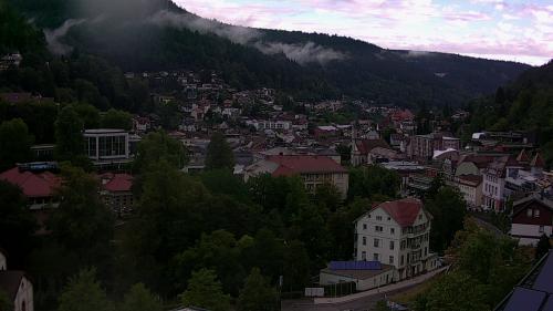 Webcam Bad Wildbad