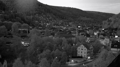 Webcam Bad Wildbad
