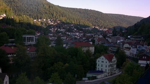 Webcam Bad Wildbad