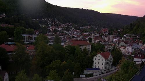 Webcam Bad Wildbad