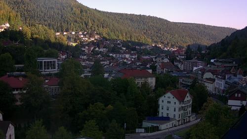 Webcam Bad Wildbad