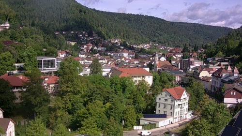 Webcam Bad Wildbad