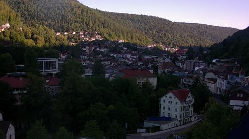 Webcam Bad Wildbad