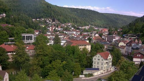 Webcam Bad Wildbad